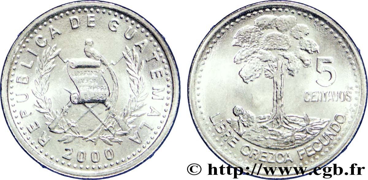GUATEMALA 5 Centavos emblème au quetzal / arbre 2000  fST 