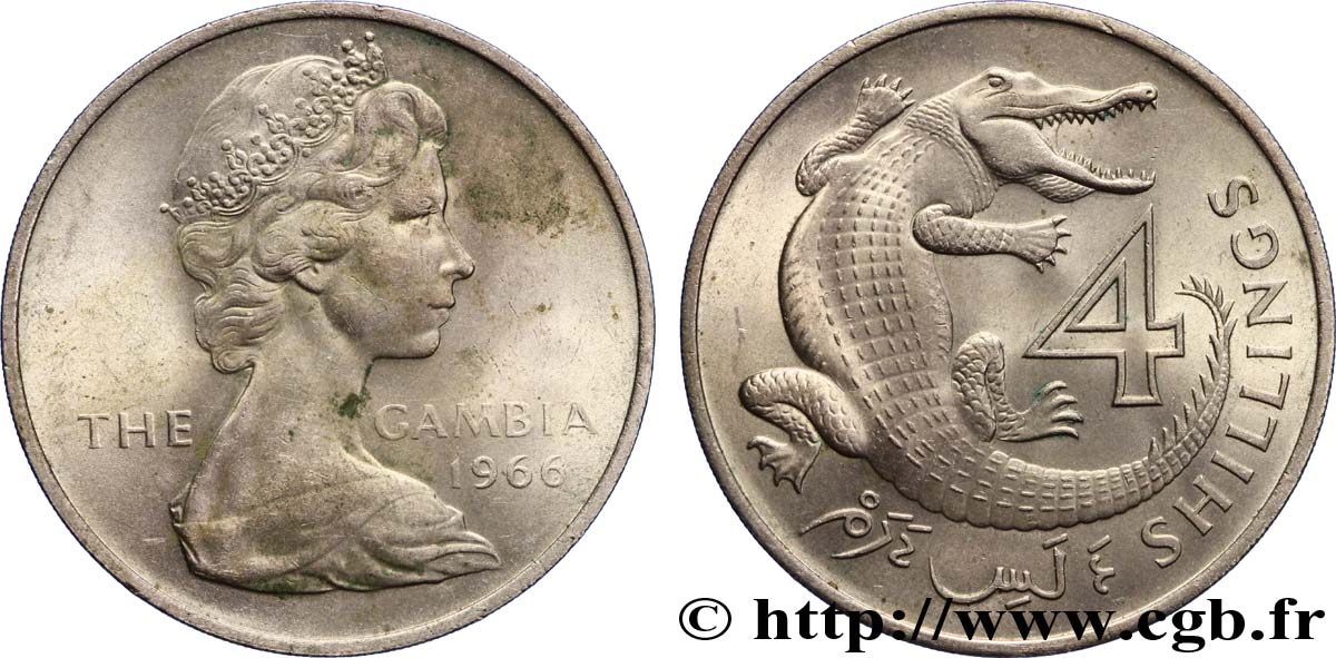 GAMBIA 4 Shillings Elisabeth II / crocodile 1966  VZ 