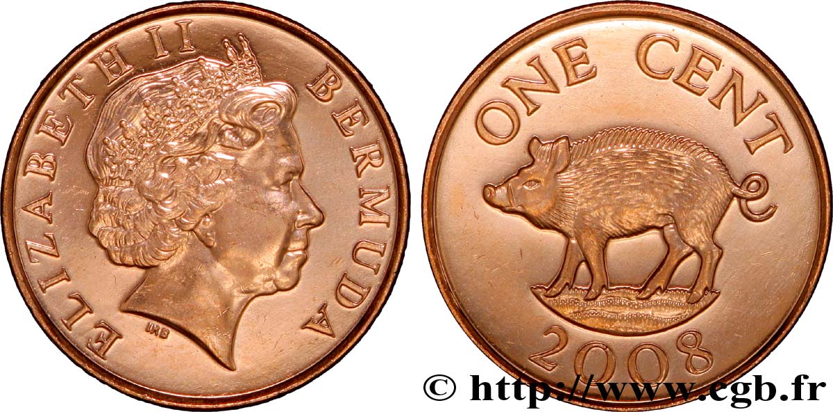 BERMUDA 1 Cent Elisabeth II / sanglier 2008  MS 