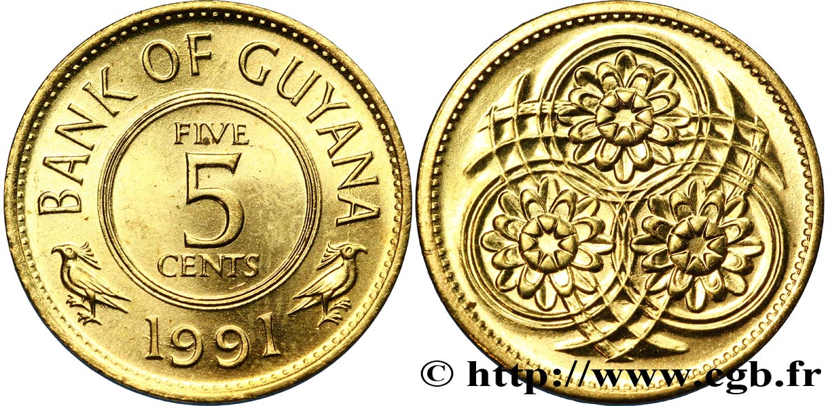 GUYANA 5 Cents 1991  fST 