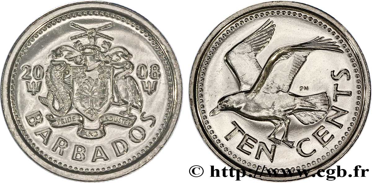 BARBADOS 10 Cents  emblème / mouette rieuse 2008  SC 