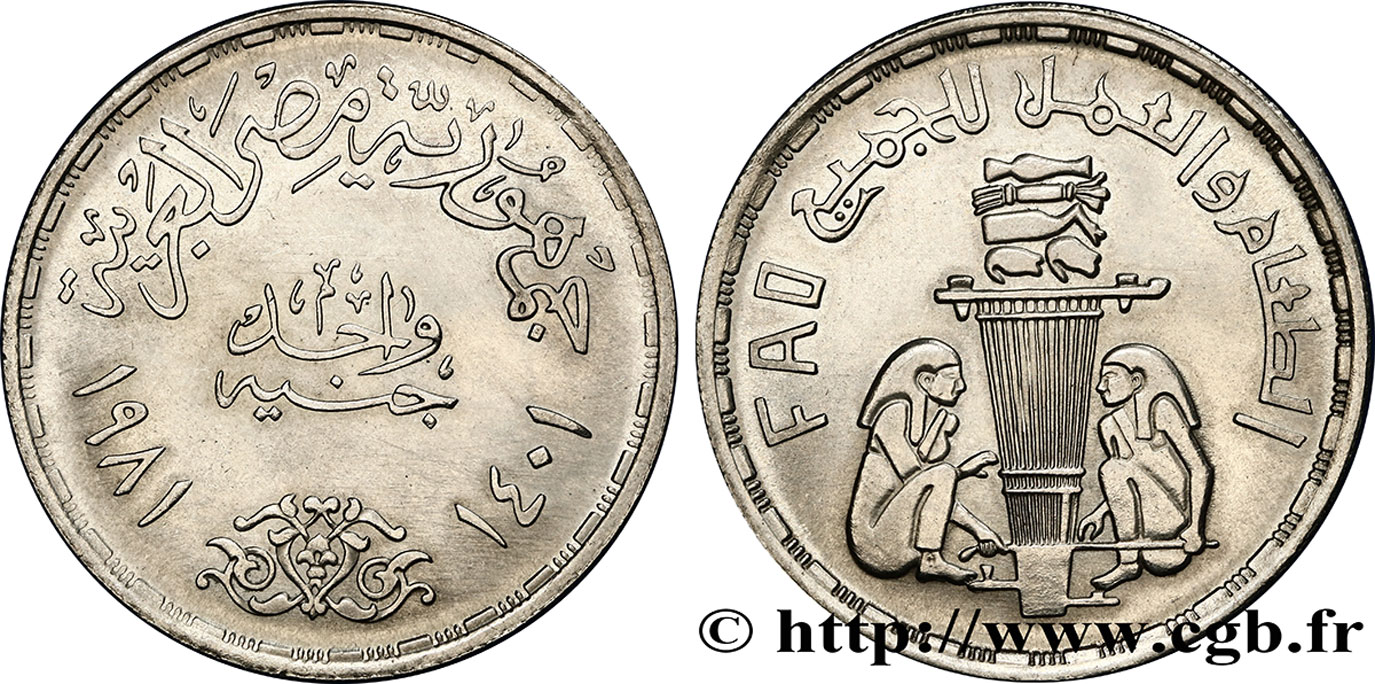 ÄGYPTEN 1 Pound (Livre) F.A.O. offrandes 1981  fST 
