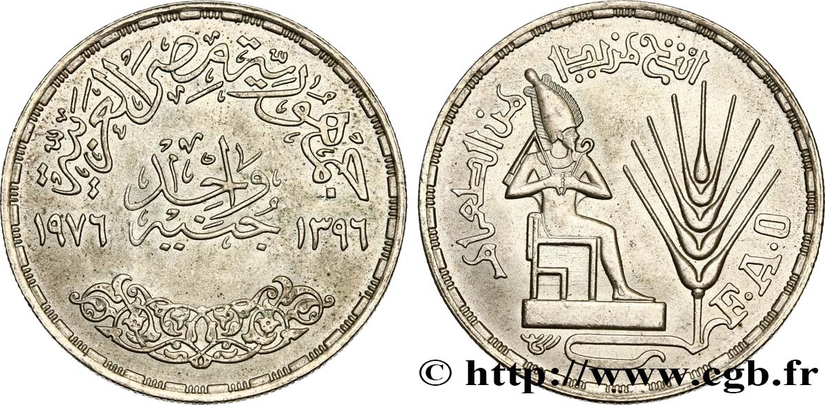 EGYPT 1 Pound (Livre) F.A.O. pharaon assis 1976  AU 