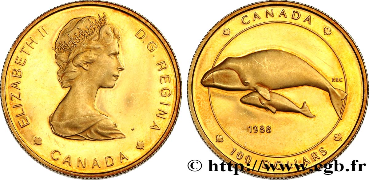CANADA 100 Dollars Baleine Proof 1988  SPL 
