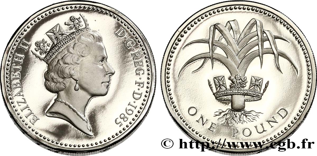 ROYAUMEUNI 1 Pound Proof Pays de Galles 1985 fwo_538091 Monde ROYAUMEUNI 1 Pound Proof Pays de Galles 1985 fwo_538091 Monde