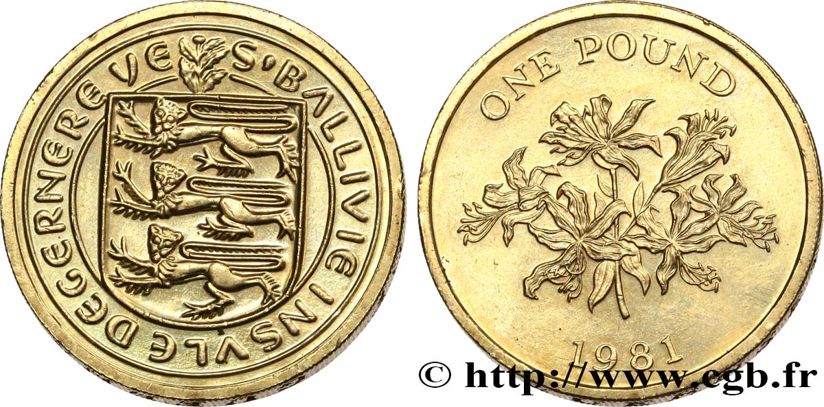 GUERNSEY 1 Pound (Livre) armes / fleur 1981  fST 