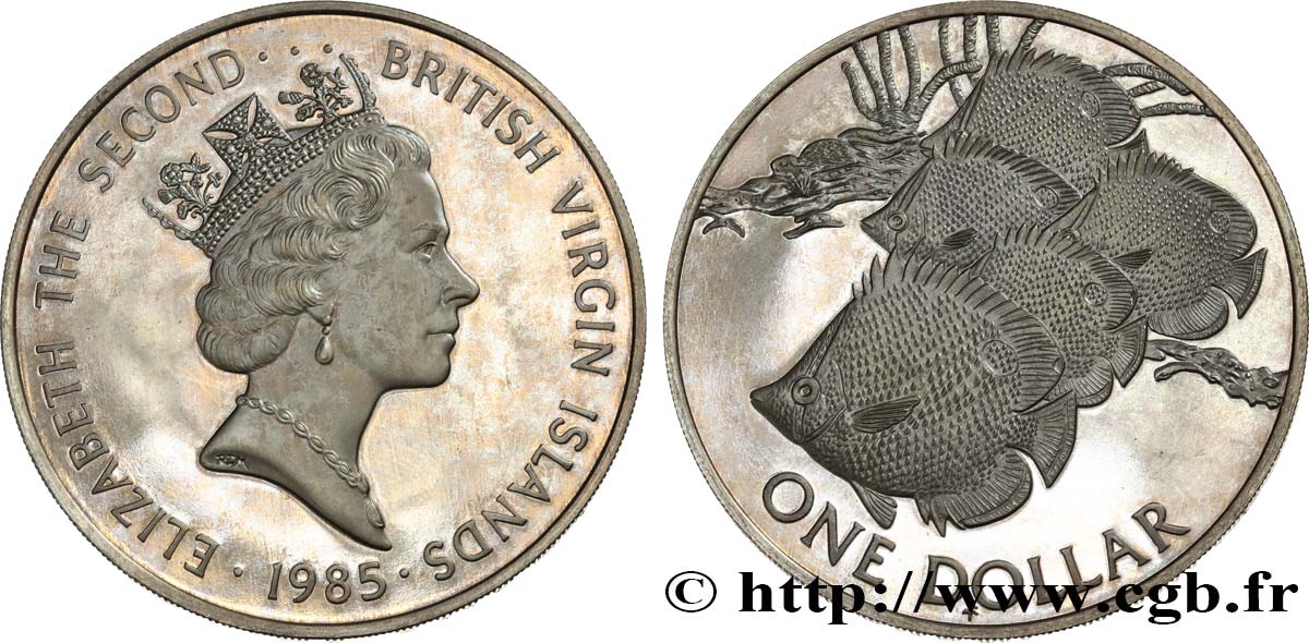 BRITISCHE JUNGFERNINSELN 1 Dollar Proof Poissons papillons 1985  fST 