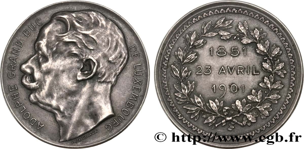 LUXEMBURGO Module de 5 Francs sur flan bruni 1901  EBC 
