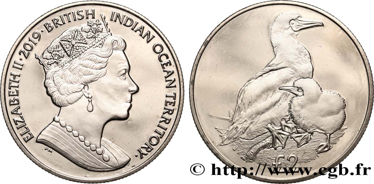 BRITISH INDIAN OCEAN TERRITORY 2 Pounds Proof Élisabeth II - Fou à pieds rouges 2019 Pobjoy Mint MS 