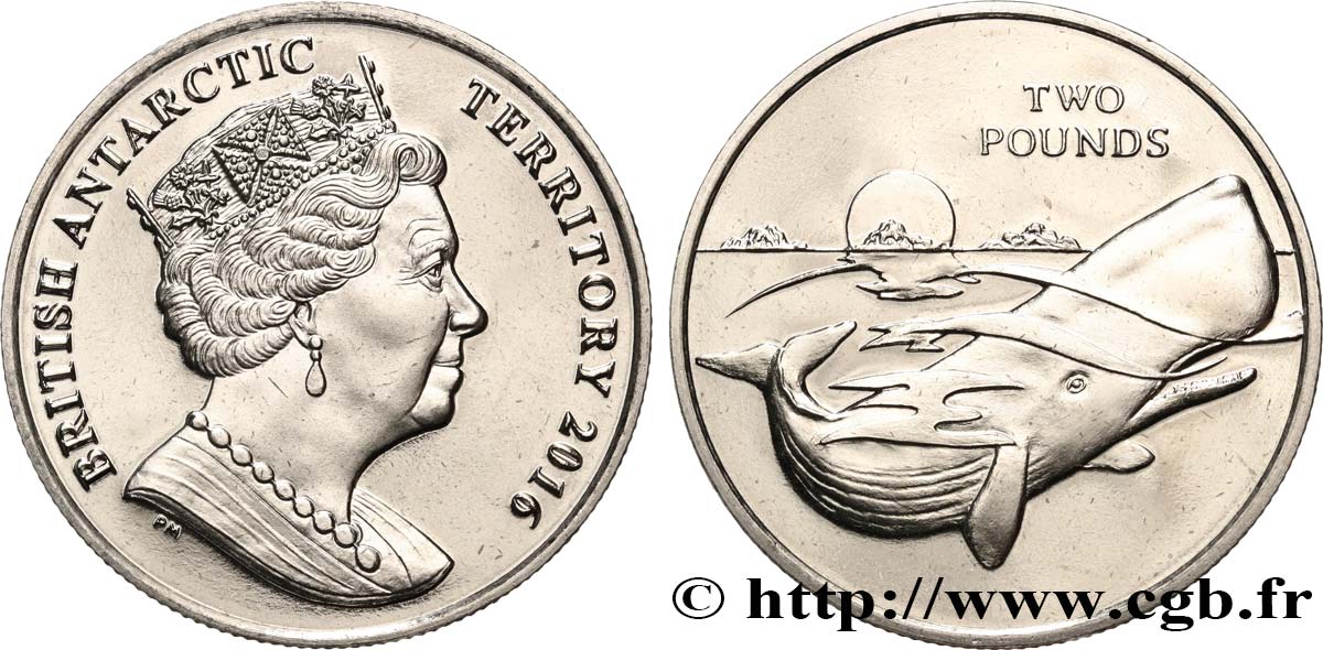 TERRITOIRE ANTARCTIQUE BRITANNIQUE 2 Pounds Proof Grand Cachalot 2016 Pobjoy Mint SPL 