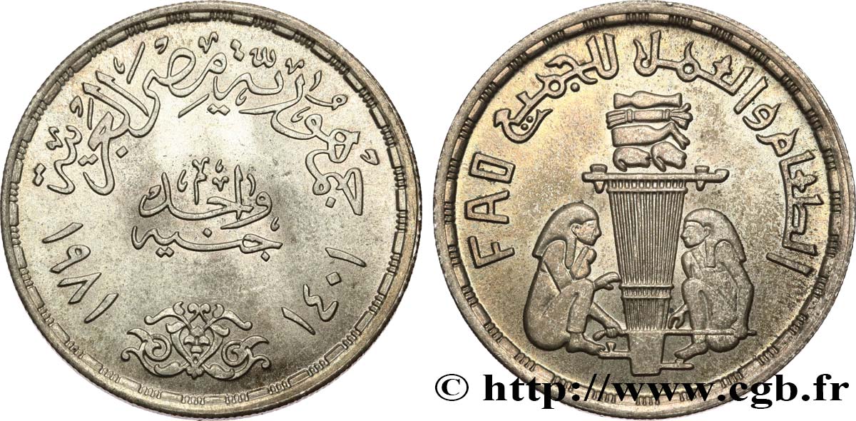 EGIPTO 1 Pound (Livre) F.A.O. offrandes 1981  SC 