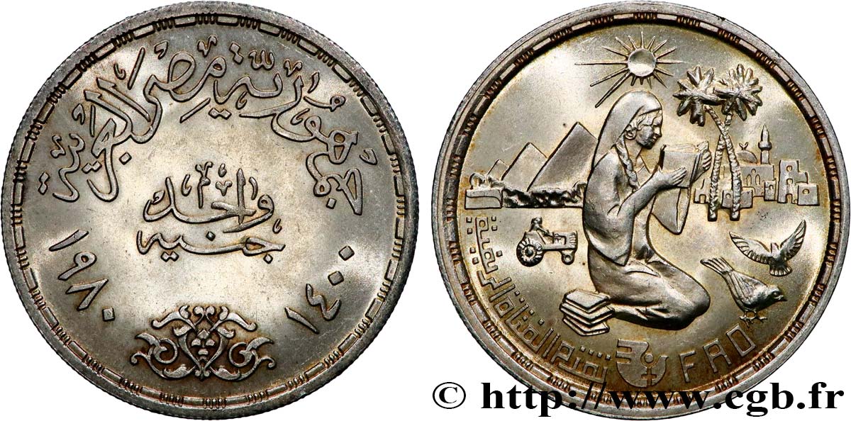 ÉGYPTE 1 Pound (Livre) F.A.O. villageoise s’instruisant 1980  SPL 