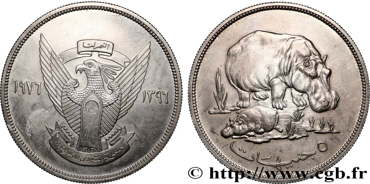 SOUDAN 5 Pounds (Livres) Hippopotame 1976  SUP 