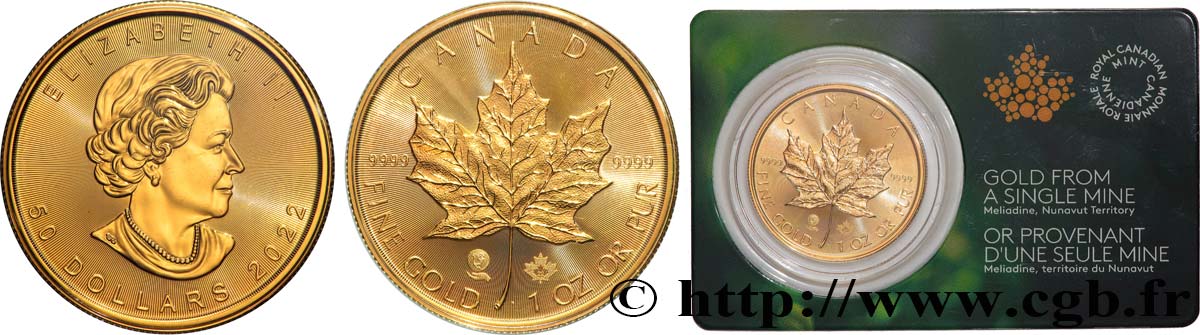 INVESTMENT GOLD 1 Oz - 50 Dollars or  mapple leaf  (or provenant de la mine de Meliadine) 2022  ST 