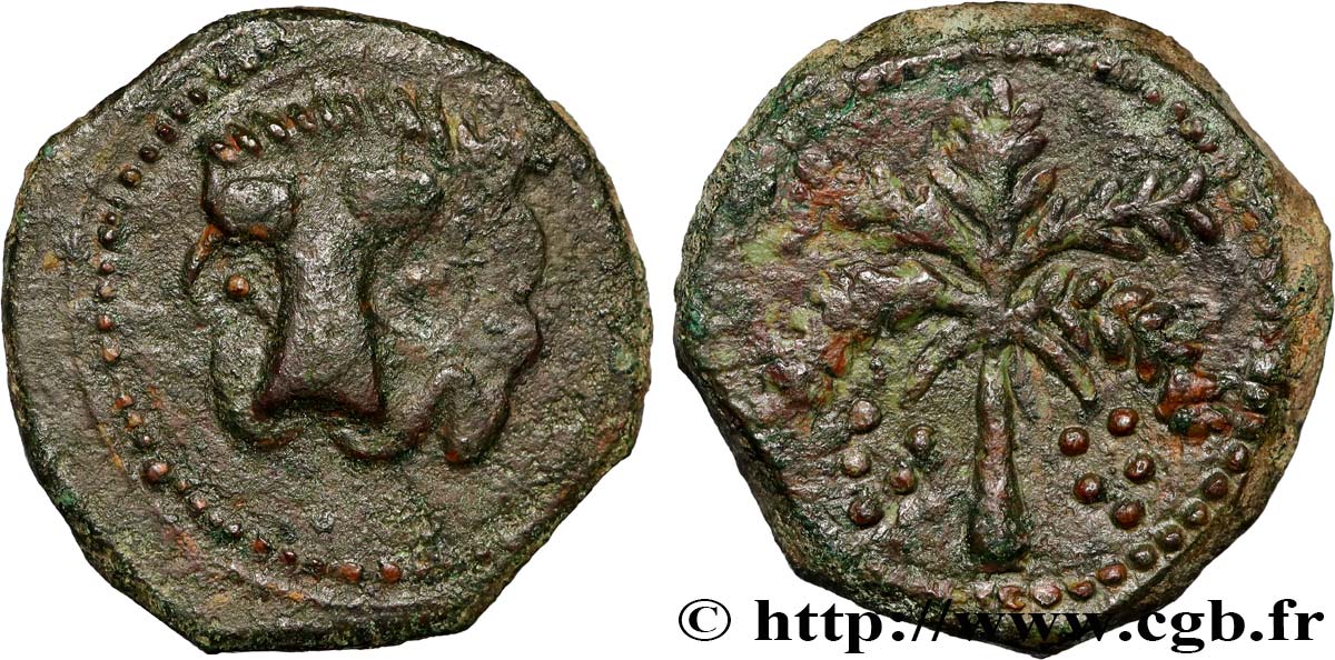 SICILY - KINGDOM OF SICILY - WILLIAM II THE GOOD Follaro large ou triple follaro n.d. Messine XF 