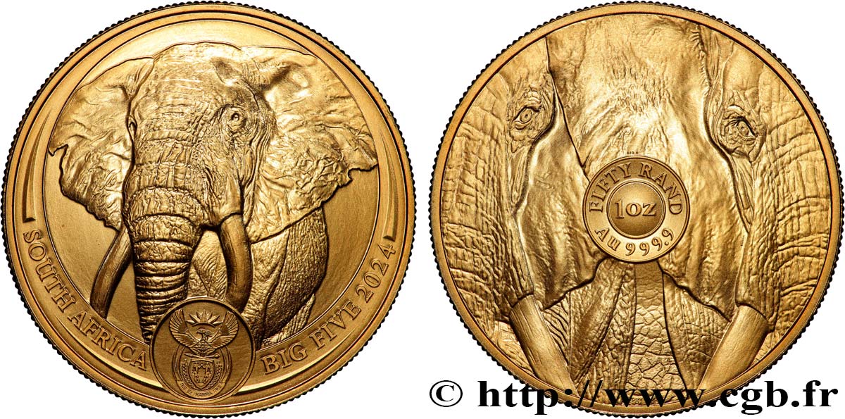 INVESTMENT GOLD 1 Oz - 50 Rand Éléphant 2024 Prétoria MS 