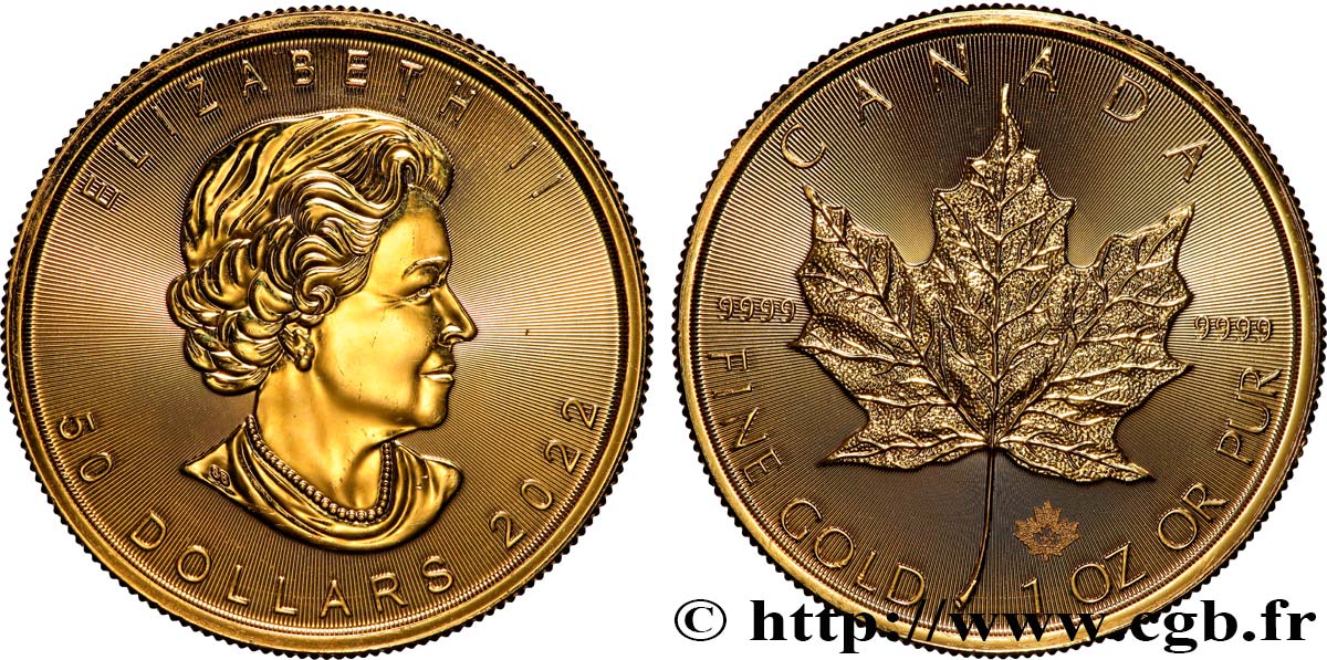 INVESTMENT GOLD 1 Oz - 50 Dollars or  mapple leaf  2022  ST 