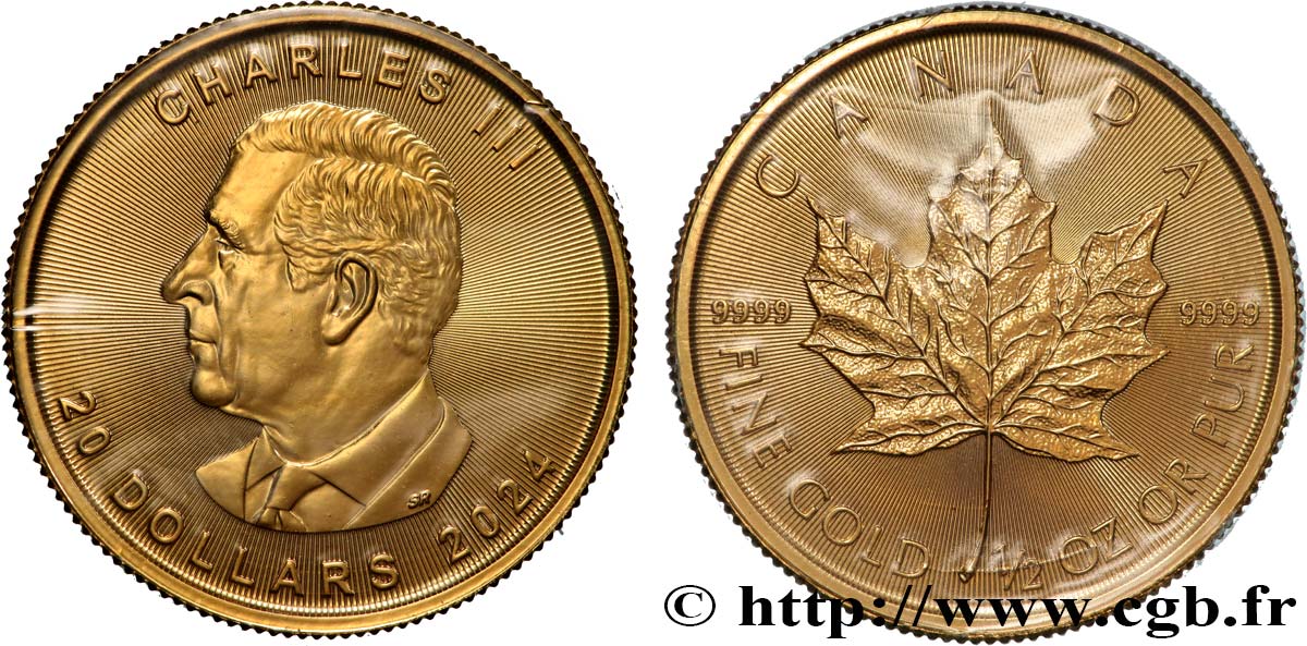 GOLD, PALLADIUM & PLATINUM INVESTMENT 1/2 Oz - 20 Dollars or  mapple leaf  2024  MS 