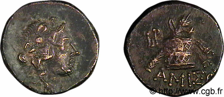 PONTUS - AMISOS Bronze Æ 22 XF