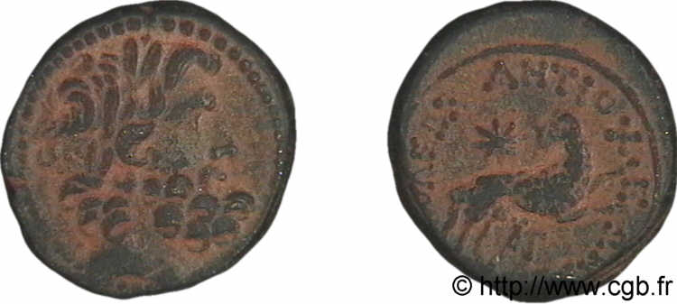 SYRIA, SELEUCIA und PIERIA - ANTIOCHIA - AUGUSTUS Bronze Æ 21 fVZ