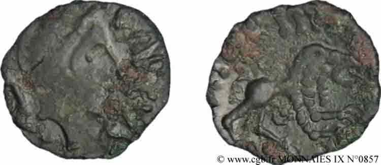 GALLIA BELGICA - REMI (Area of Reims) Bronze au lion XF