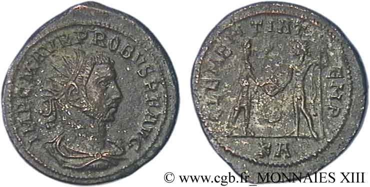 PROBO Aurelianus de poids lourd q.SPL