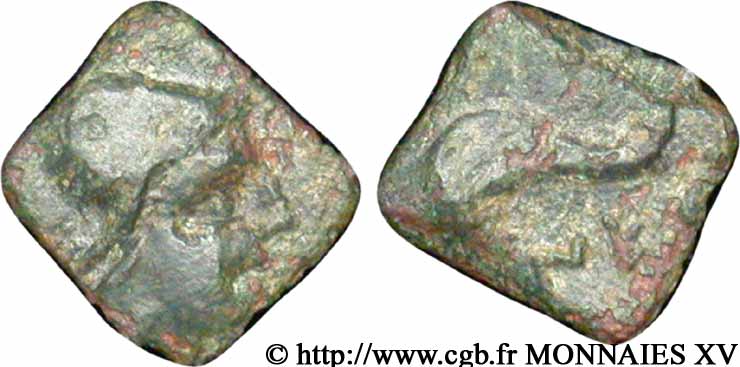 GALLIA - NEDENES (oppido di Montlaures) Bronze au dauphin XF