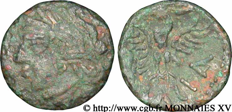 GALLIA - BITURIGES CUBI (Regione di Bourges) Bronze CALIAGIID à l’aiglon VF/XF