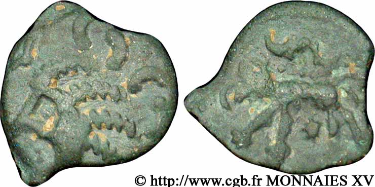 GALLIA - CARNUTES (Regione della Beauce) Bronze au loup, tête à gauche XF