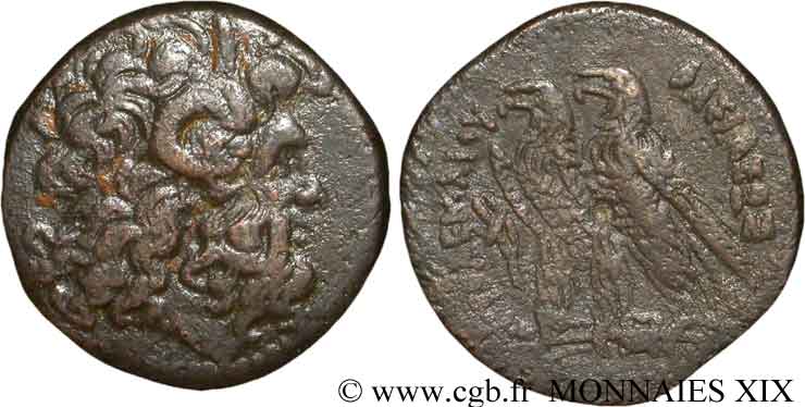 EGITTO - REGNO D EGITTO - TOLOMEO VI PHILOMETOR Bronze, (GB, Æ 30) BB