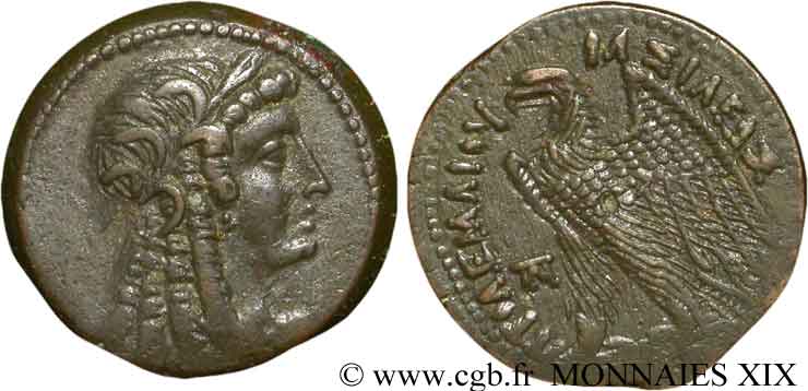 EGITTO - REGNO D EGITTO - TOLOMEO VI PHILOMETOR Bronze, (GB, Æ 30) q.SPL