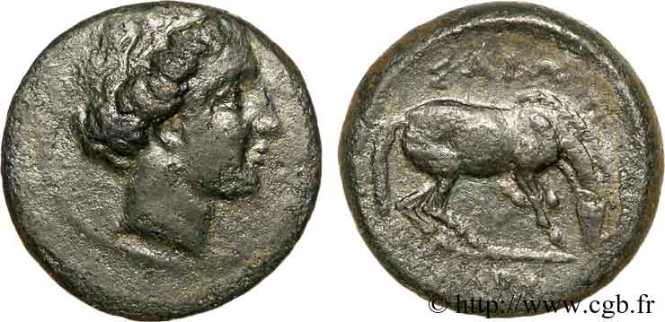 TESSALIA - LARISSA Bronze, (PB, Æ 18) XF