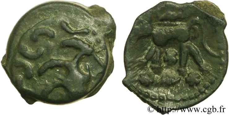 GALLIA - CARNUTES (Región de la Beauce) Bronze au loup, tête à droite EBC/SC