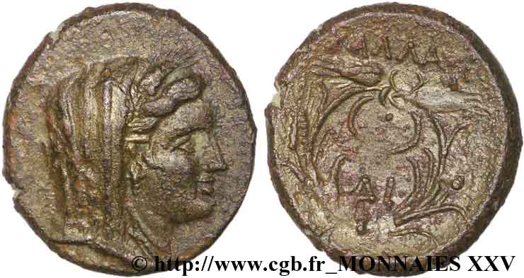 TRACIA - CALLATIS Bronze, (MB, Æ 20) AU