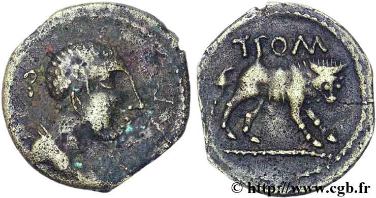 CAVARII (Regione di Avignon eOrange) Bronze au taureau T.POM / SEX.F q.BB/q.SPL