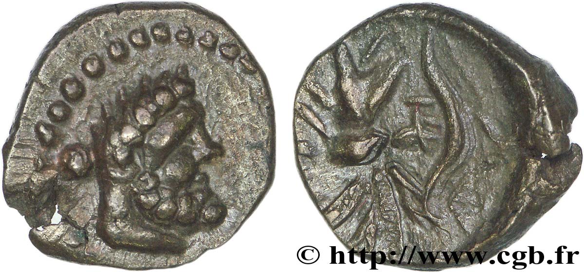 PISIDIA - SELGE Bronze, (PB, Æ 13) SPL