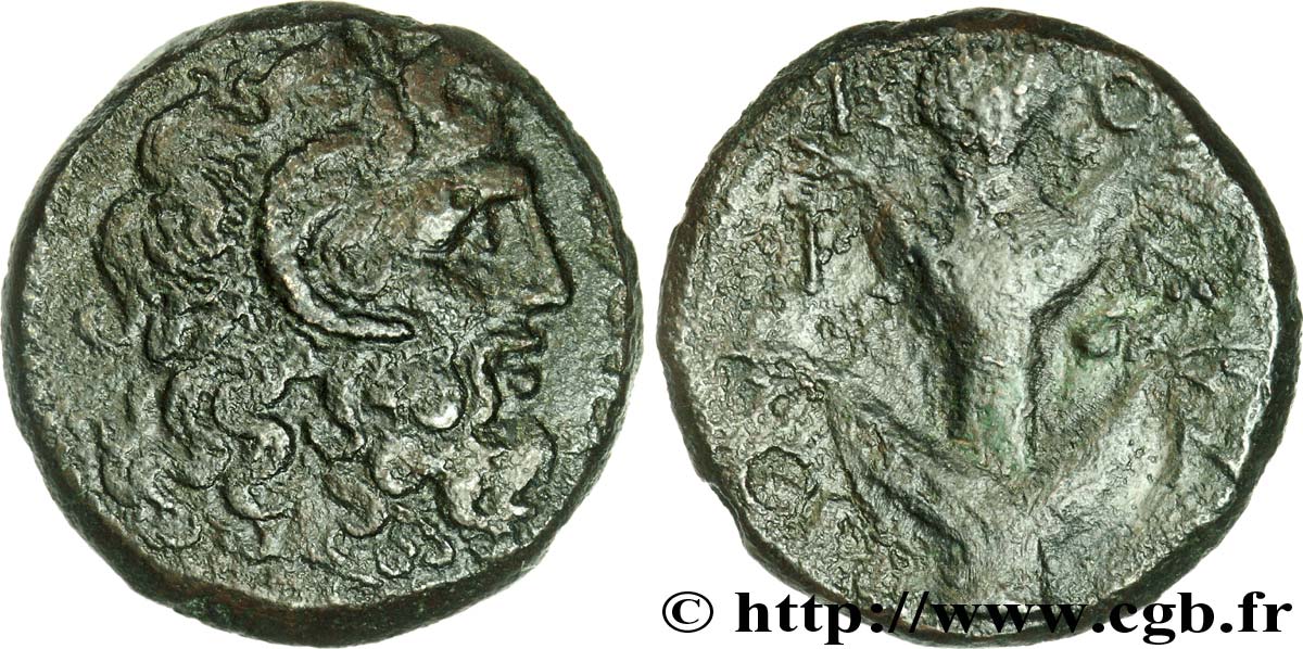 CYRENAICA - CYRENE Unité de bronze, (MB, Æ 24) XF/VF