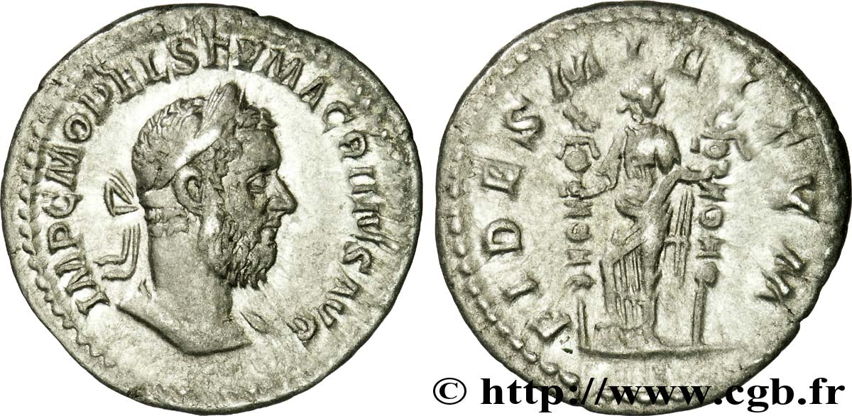 MACRINO Denier AU
