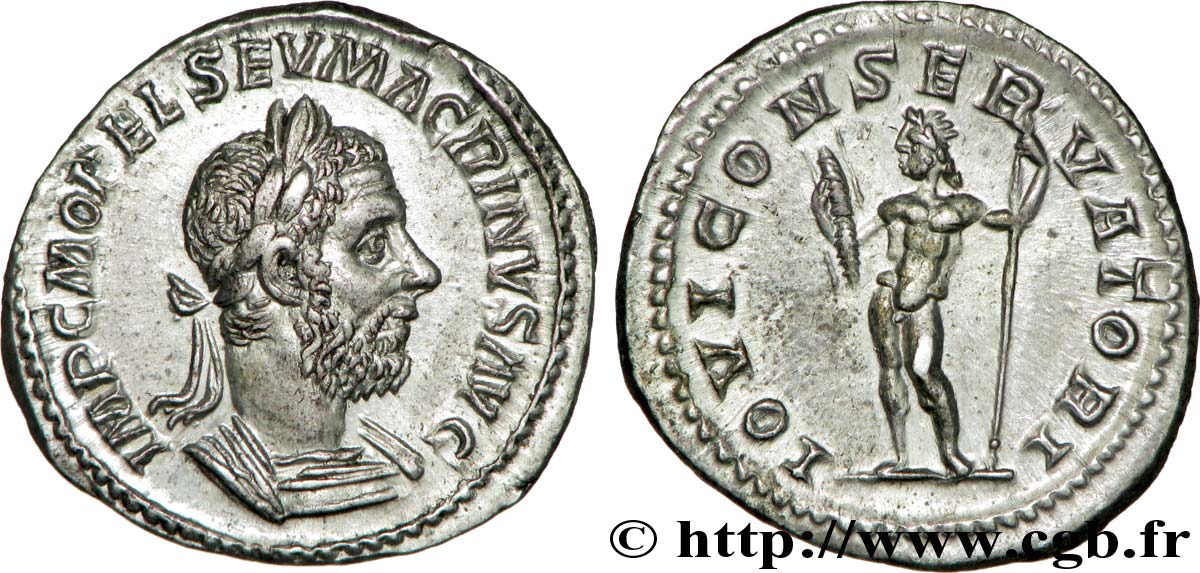 MACRINO Denier MS/MS