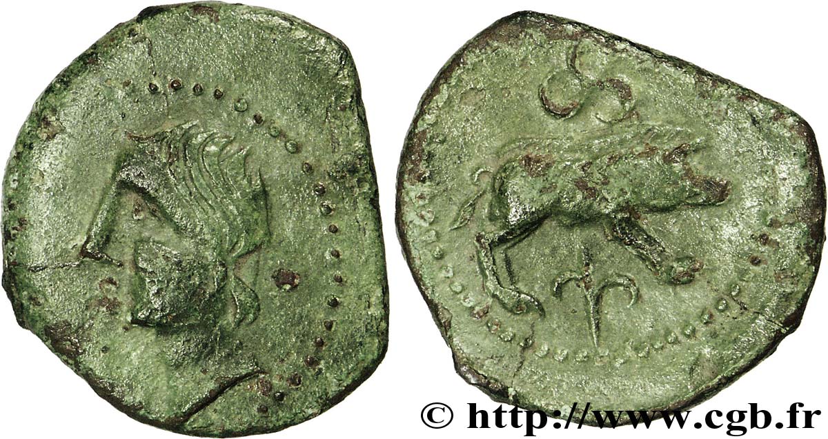 SANTONS / CENTRE-OUEST, Incertaines Bronze ANNICCOIOS (quadrans) au sanglier TTB