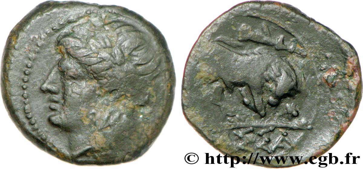 MASSALIA - MARSEILLE Bronze au taureau (hémiobole ?) XF