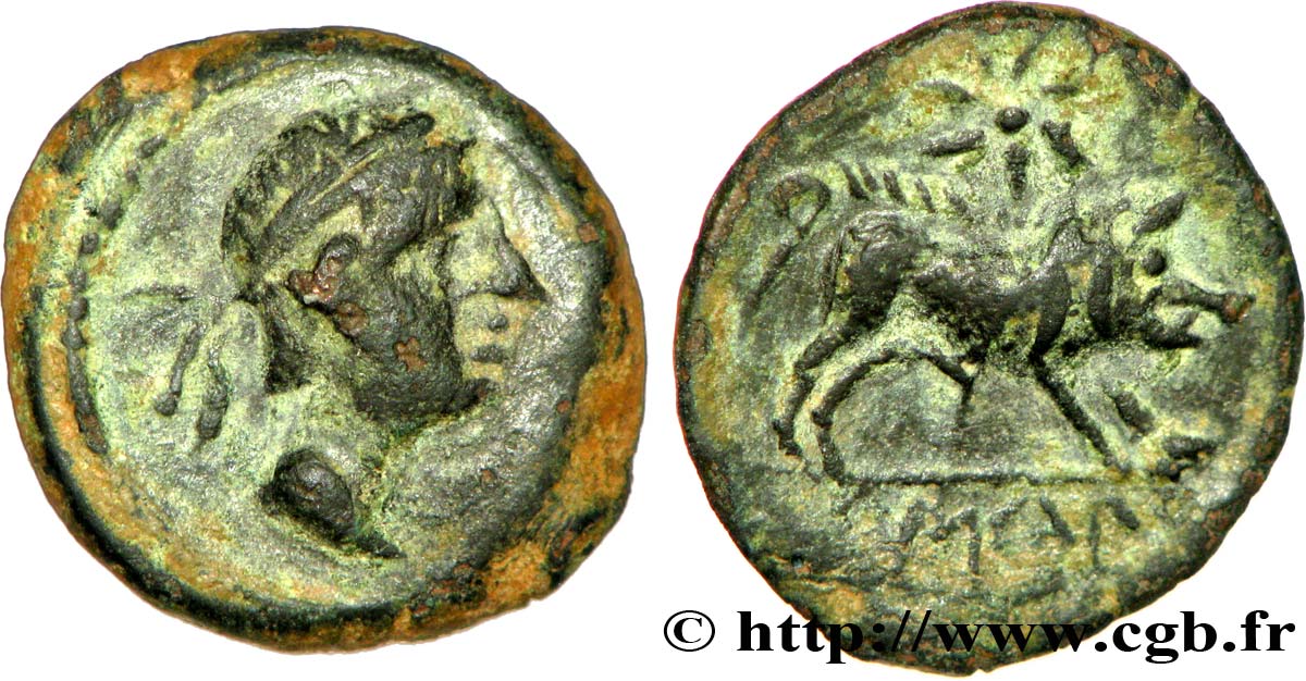 SPAGNA - IBERICO - CASTULO/KASTILO (Provincia di Jaen/Calzona) Demi-unité de bronze ou semis, (PB, Æ 16) BB