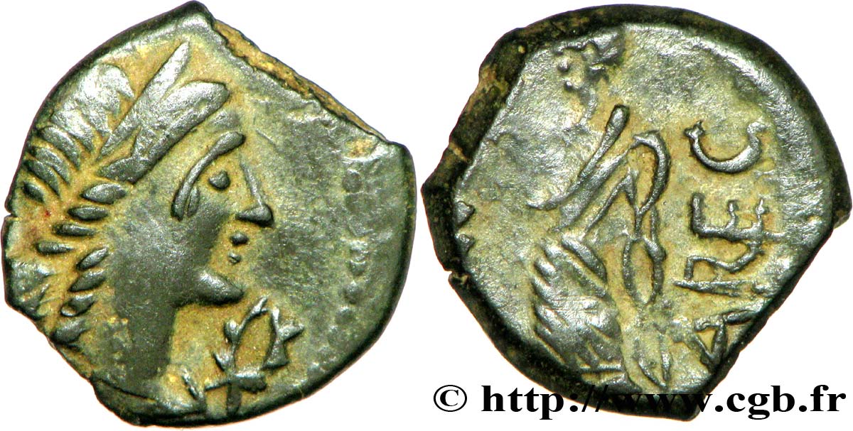 NEMAUSUS - NÎMES Bronze au Démos, VOLCAE AREC AU/XF