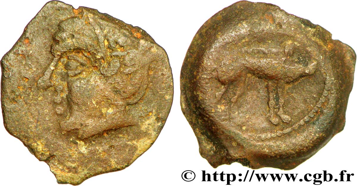 BITURIGES CUBI / MITTELWESTGALLIEN - UNBEKANNT Bronze au sanglier et à la fibule fSS