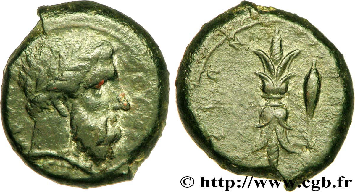 SICILIA - SIRACUSA Hemilitron de bronze Æ 24 q.BB/q.SPL