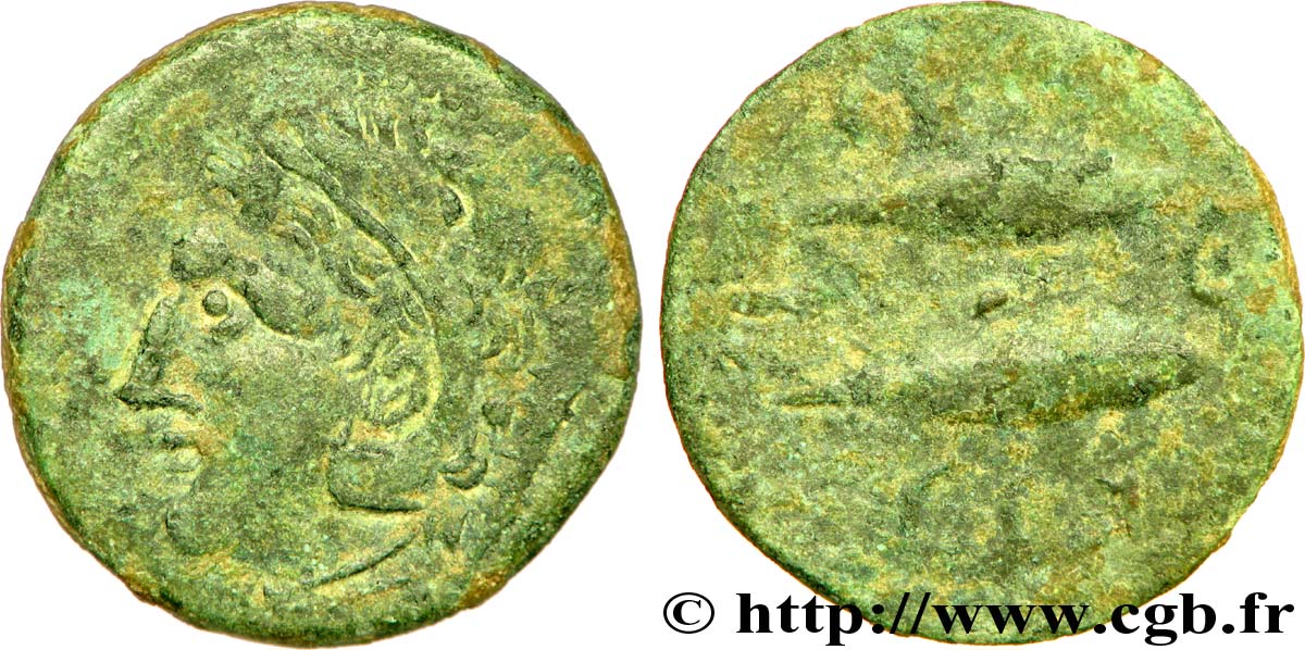 HISPANIA - GADIR/GADES (Provincia of Cadiz) Calque de bronze à la tête de Melqart et aux poissons MBC/BC+