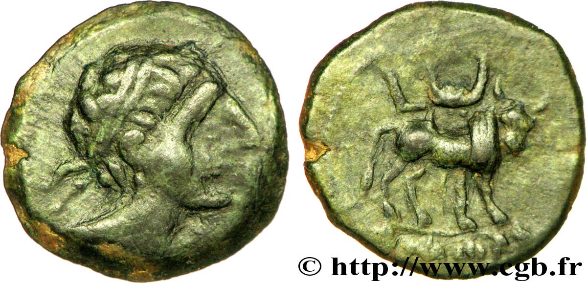SPAGNA - IBERICO - CASTULO/KASTILO (Provincia di Jaen/Calzona) Demi unité de bronze ou semis, (PB, Æ 19) BB/q.SPL