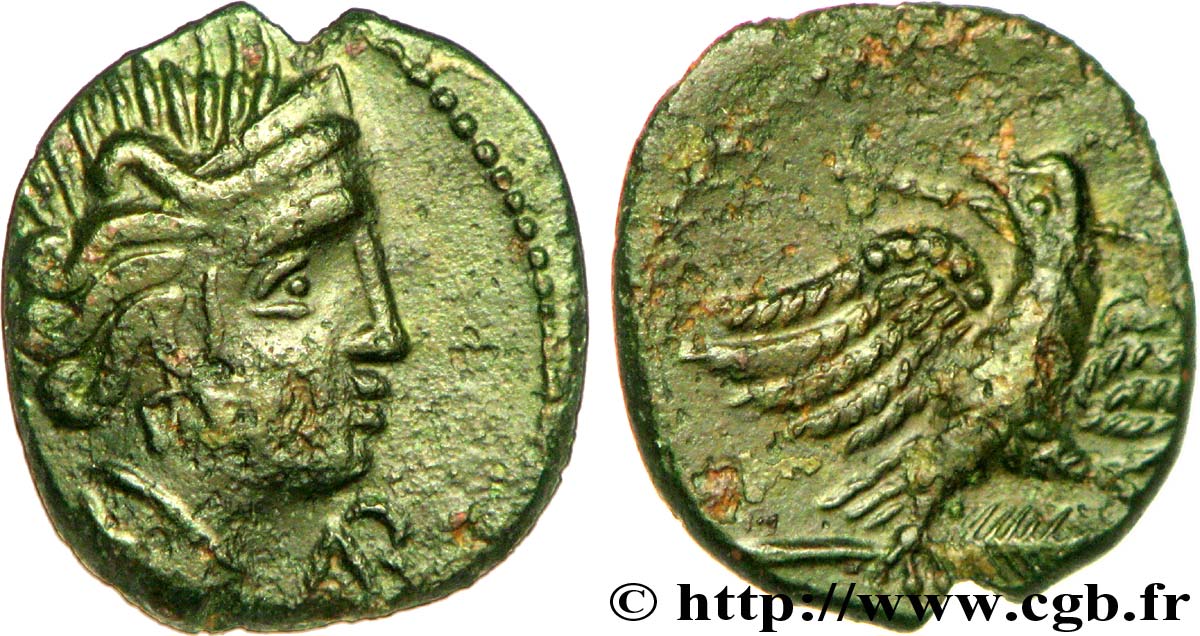 GALLIEN - SÜDWESTGALLIEN - VOLCÆ ARECOMICI (Region die Nîmes) Bronze AR / VOLC, à l aigle fVZ