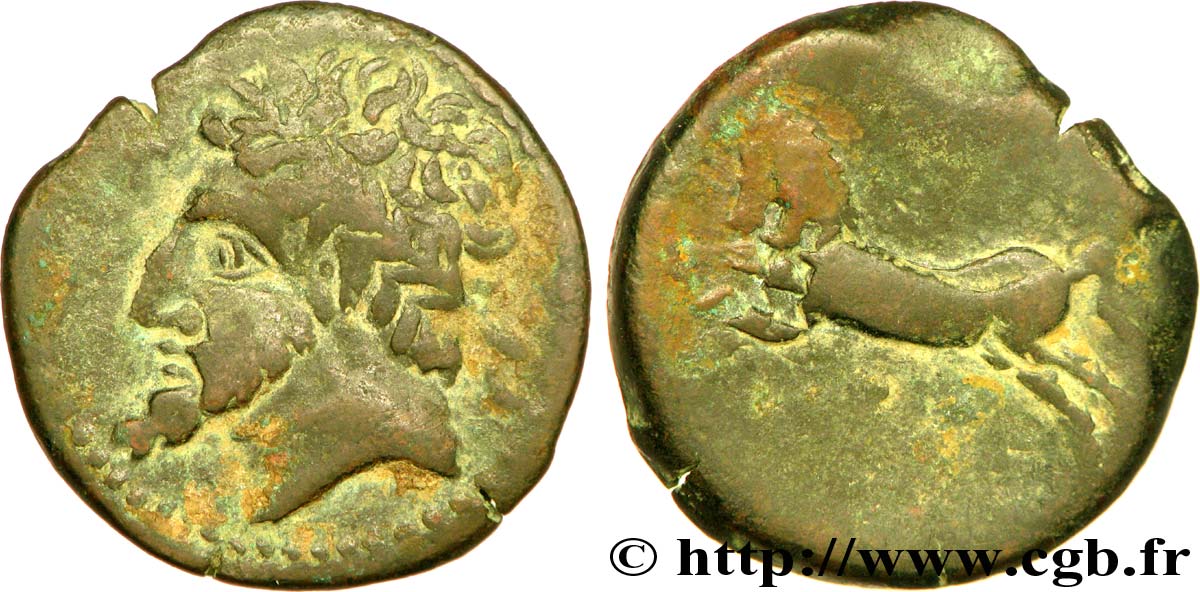 NUMIDIA - KINGDOM OF NUMIDIA - MASINISSA or MICIPSA Unité de bronze, (MB, AE27) XF/VF