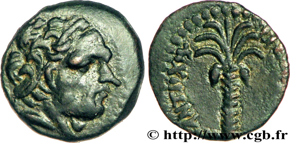 SIRIA - REINO DE SIRIA - ANTIOCOS III EL GRANDE Hemichalque, (PBQ, Æ 14) EBC